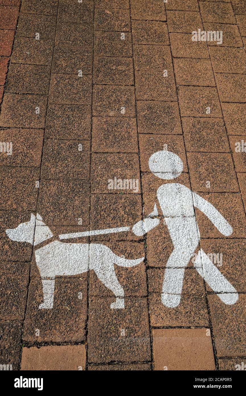 Sign asking dog owners to keep their dogs on a lead or leash, painted on the footpath. Stock Photo