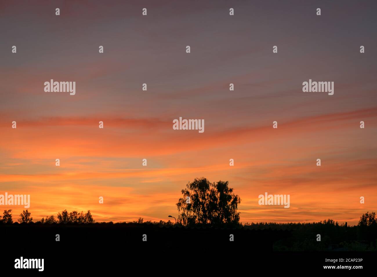 colorful sunset skies and black tree silhouettes, summer time Stock ...