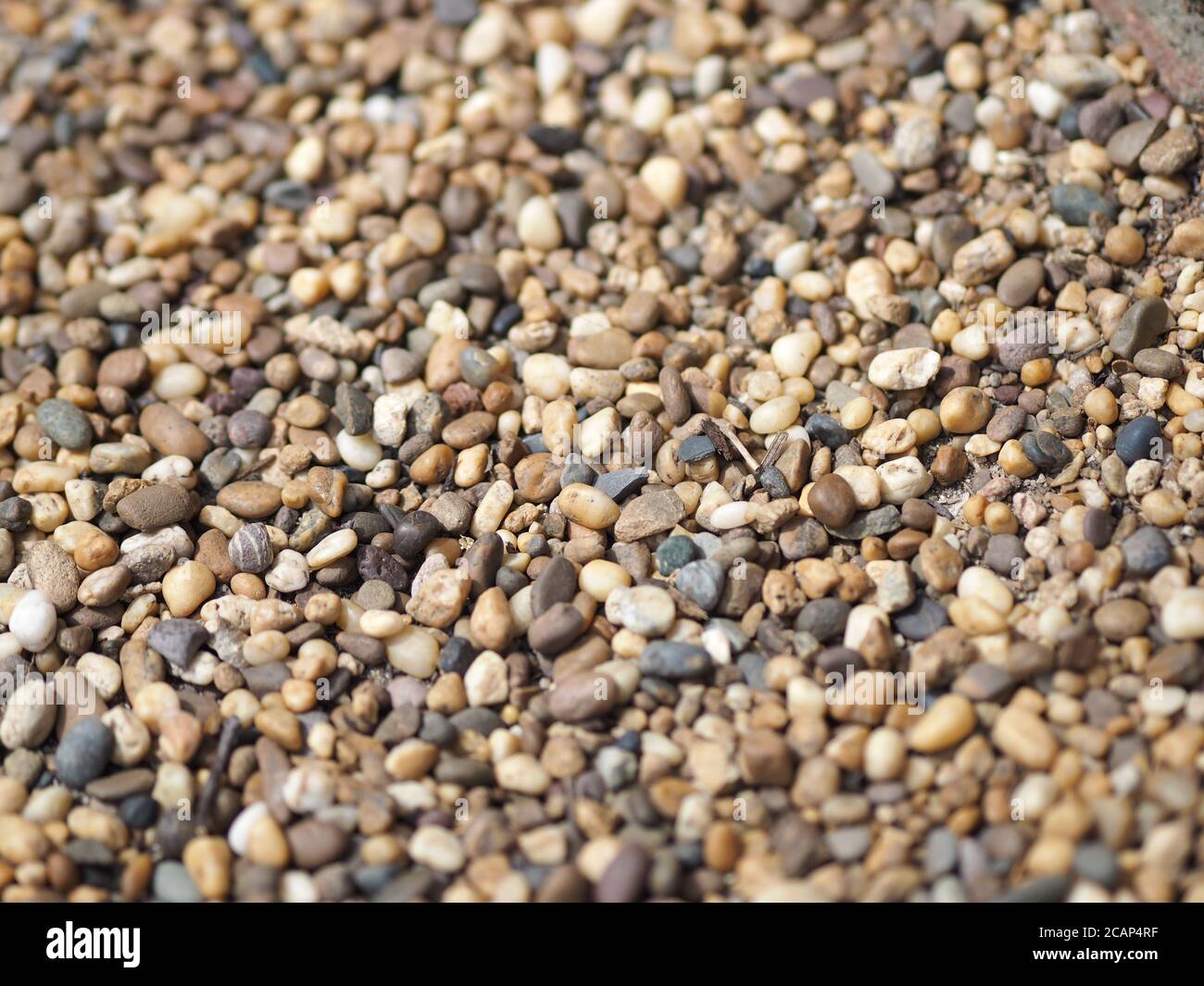 Background of small pebbles round sea stones texture rocks material ...