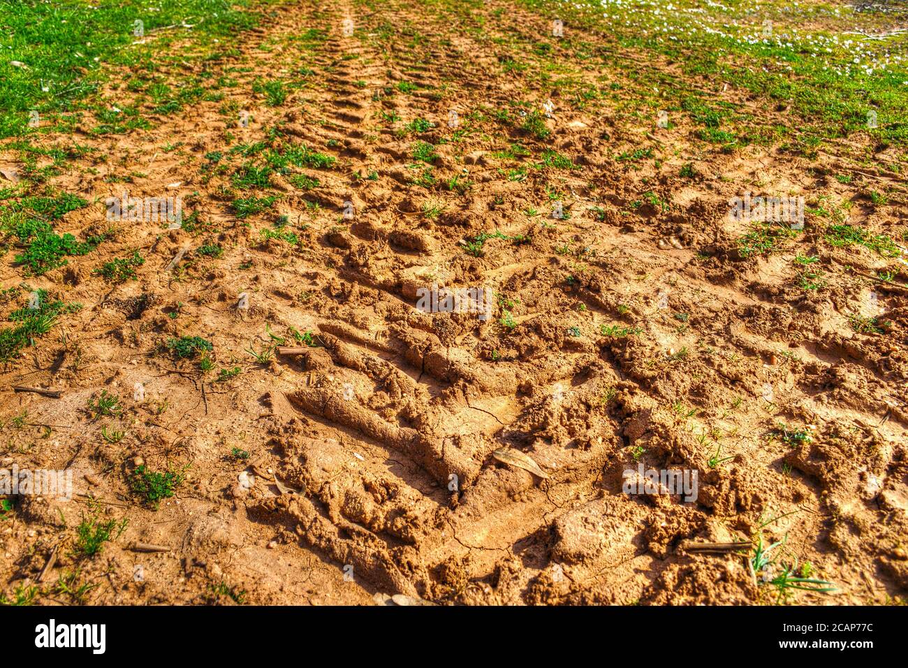Wet Mud On The Ground With Grass In Nature Stock Photo, Picture and Royalty  Free Image. Image 80885384.