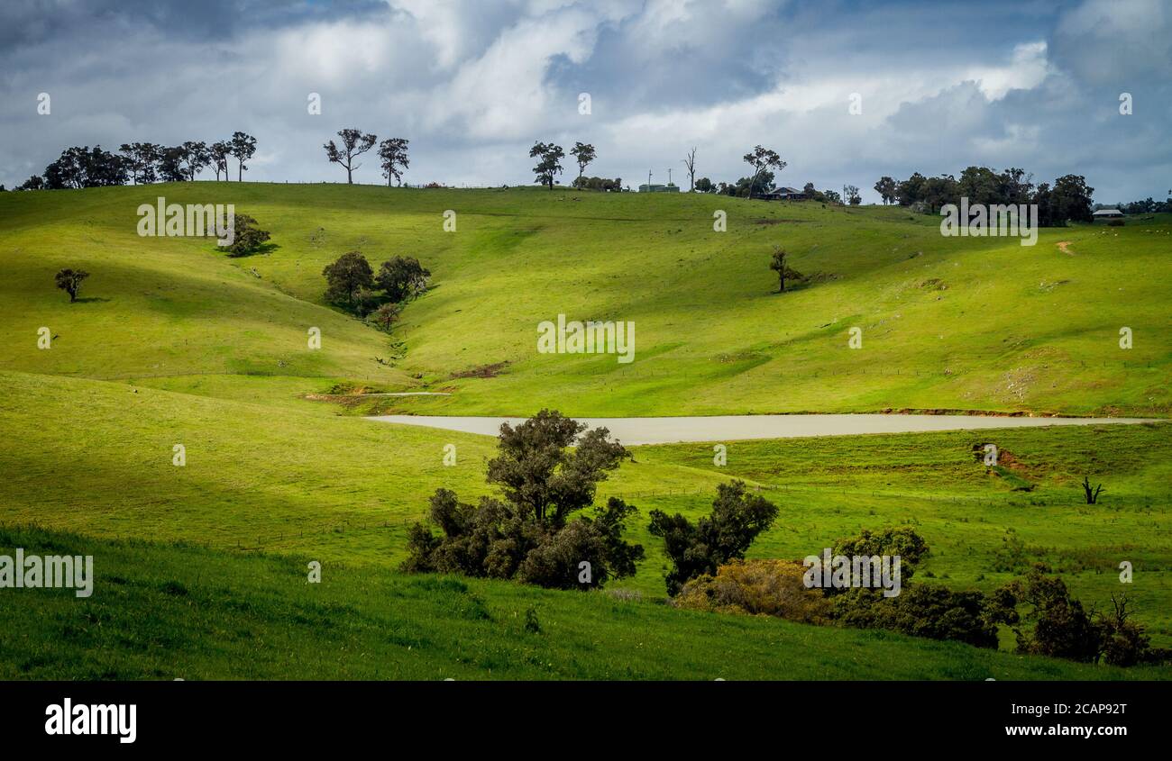 Lush green farm padocks with dam, Ferguson Valley Stock Photo