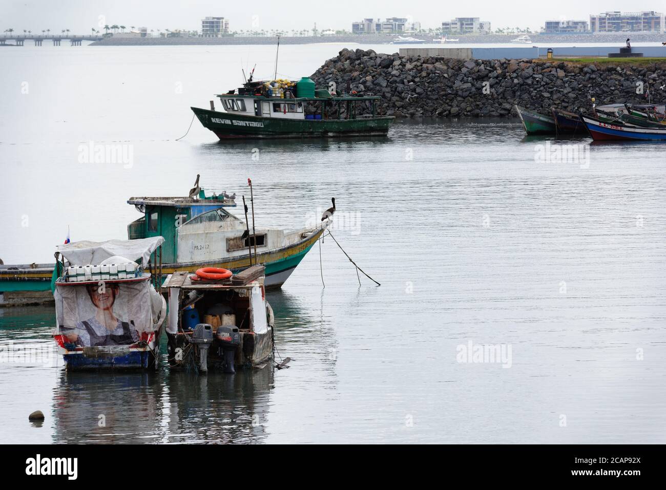 Pelicans on fishing boats close to the docks and market in Panama City, Panama, Central America Stock Photo