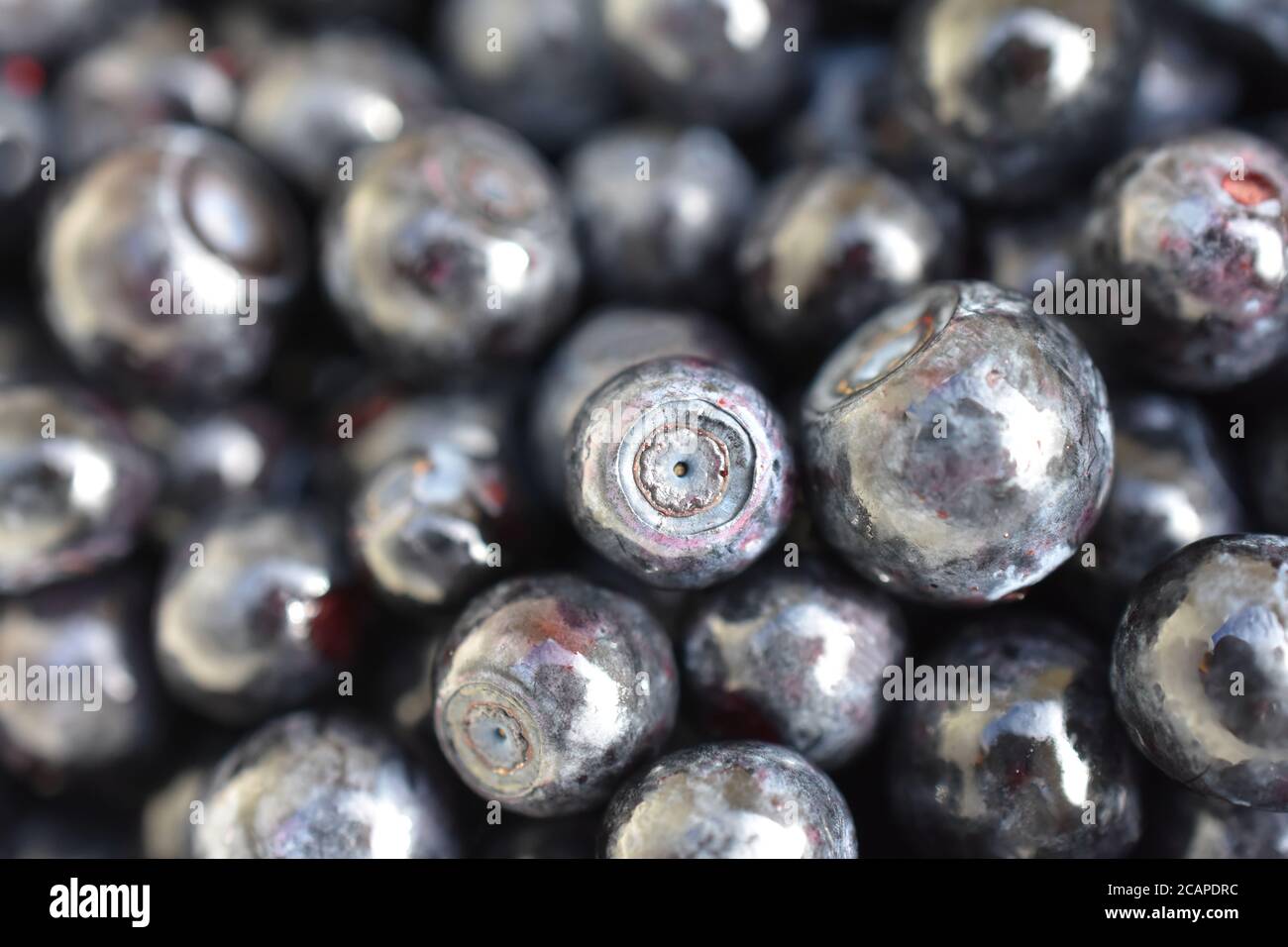 Extreme closeup on group of ripe blueberries Stock Photo