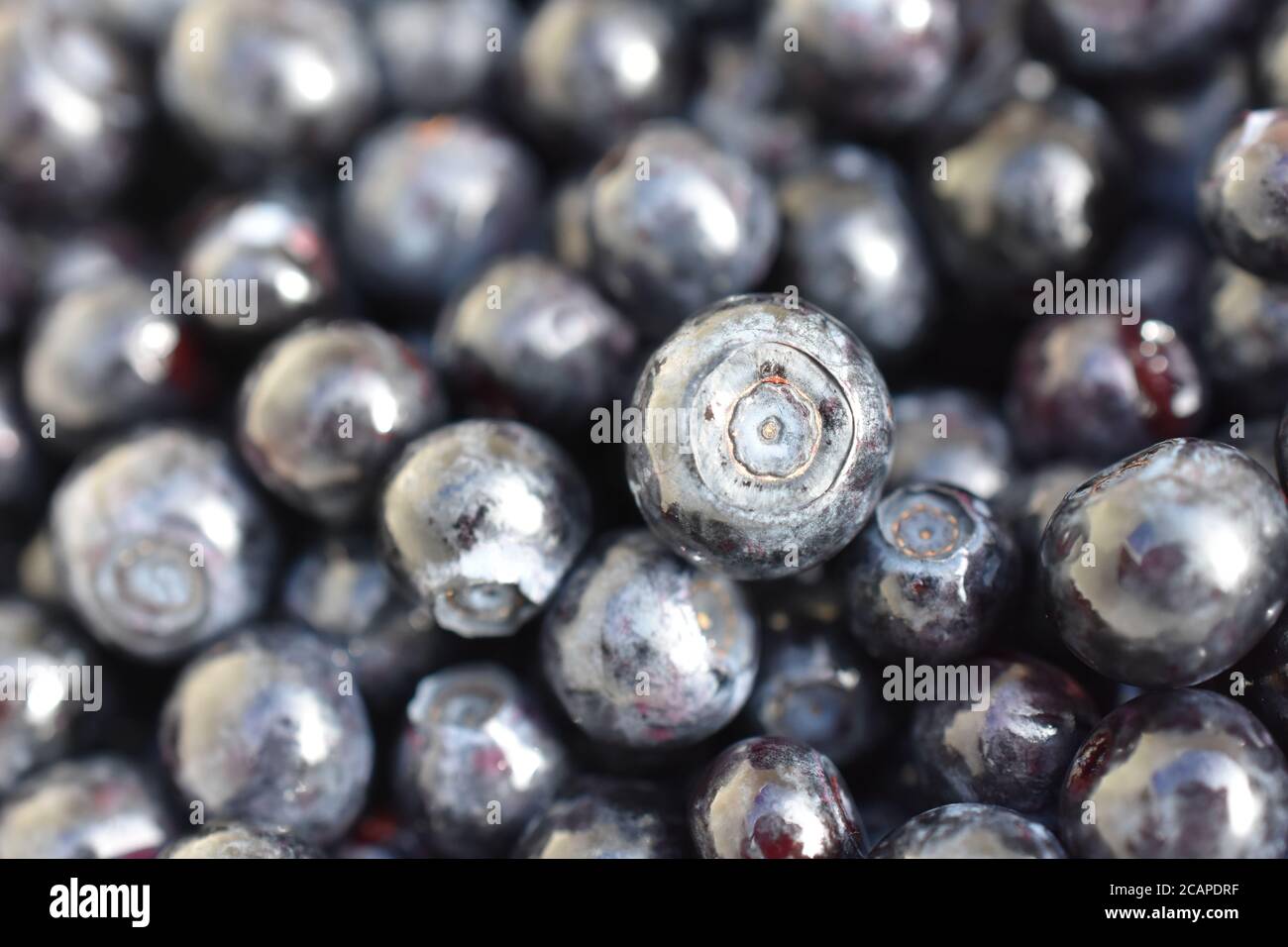 Extreme closeup on group of ripe blueberries Stock Photo