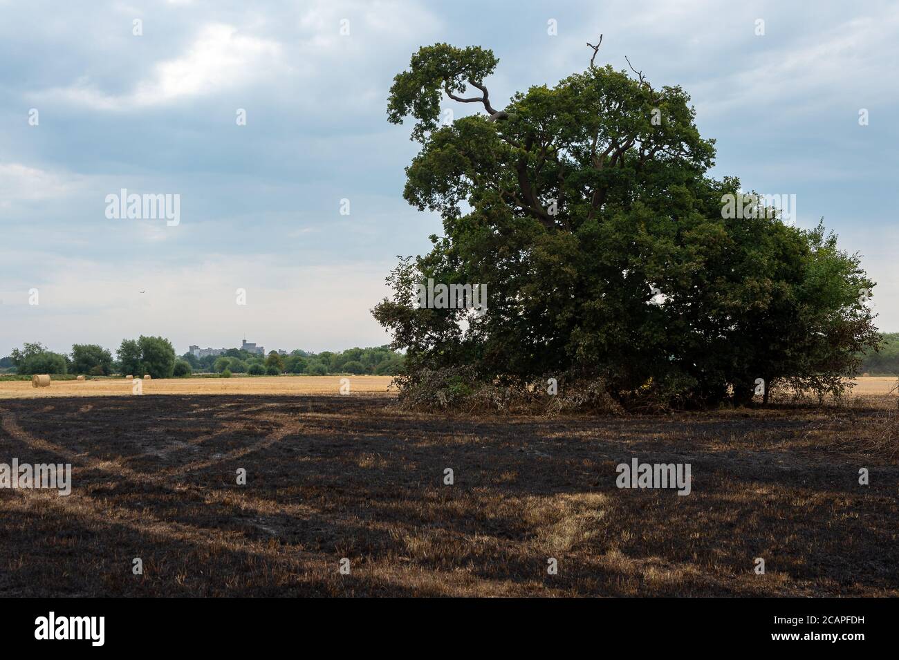 Eton Wick, Windsor, Berkshire, UK. 8th August, 2020. Home owners living