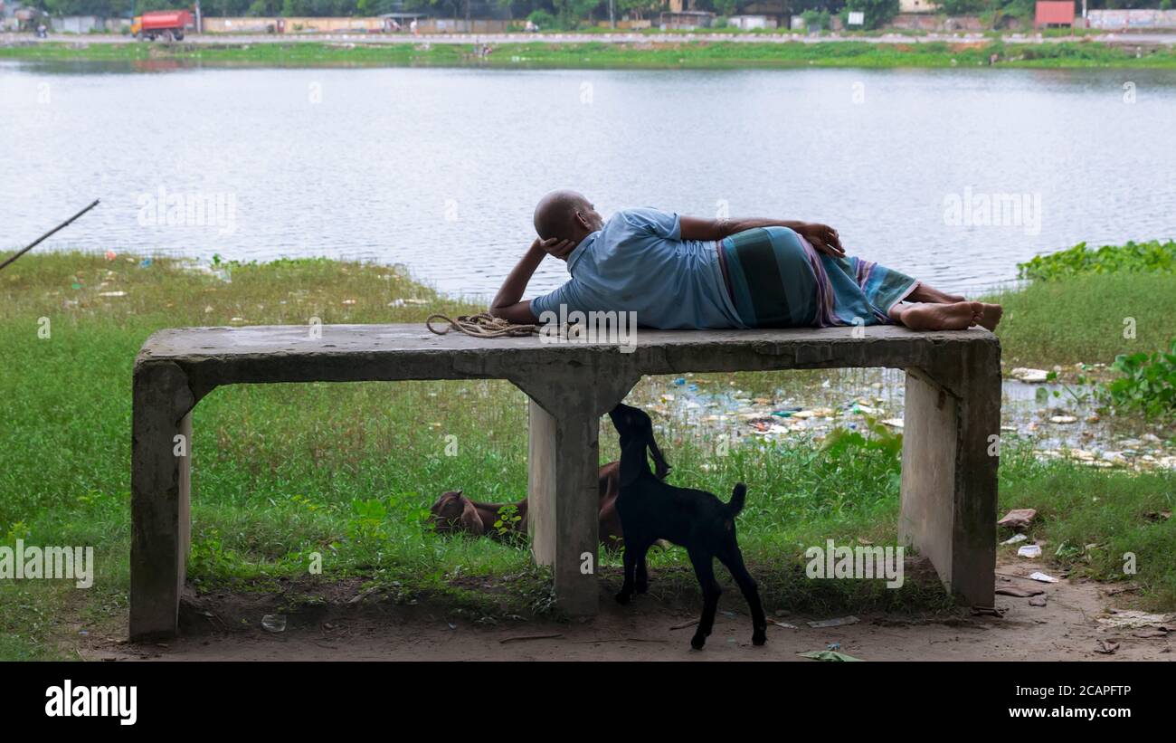 A man is resting on the bank of a river and his goats are eating grass Stock Photo