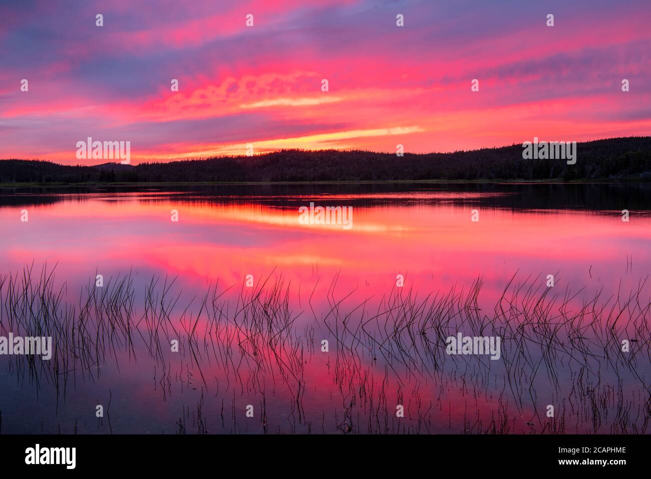 Sunset over La Manche Pond, La Manche Provincial Park, Newfoundland and Labrador NL, Canada Stock Photo