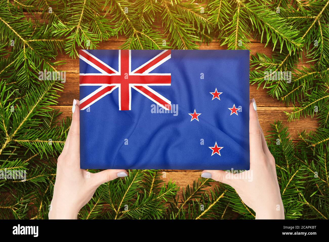 Box with New Zeland flag in female hands. Fir branches on the background Stock Photo