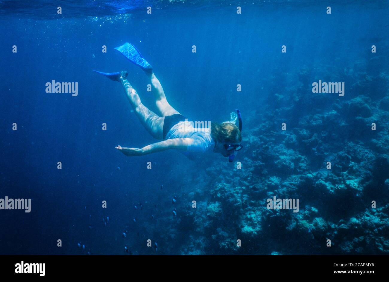 Archive image: woman snorkeller diving down to examine coral bleaching in the Maldives, c. 2005, possibly Ari Atoll. Stock Photo