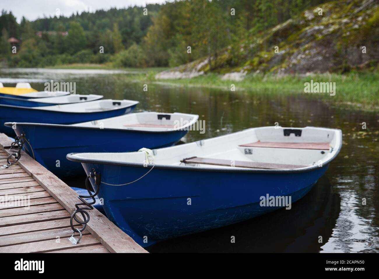Blue empty boats on the lake along the wooden pier closeup, cloudy autumn sky and forest on background . Recreational row boats. Boat rental Stock Photo