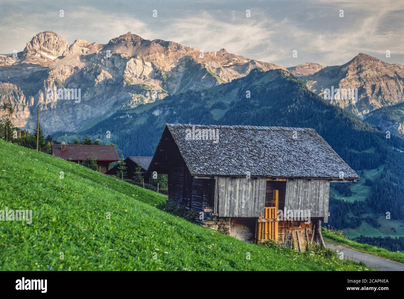 Archive image: Farm building in high pasture with distant mountains, Switzerland, possibly above Gstaad, 1995. Stock Photo