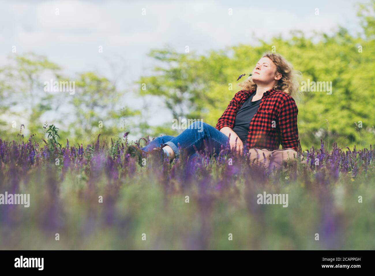 Young blonde woman relaxing among wild salvia flower field on summer day Stock Photo