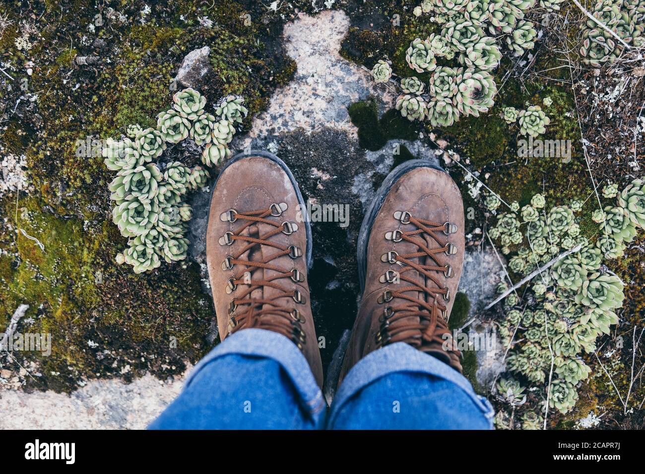 Female leather vintage boots standing on green moss forest background ...