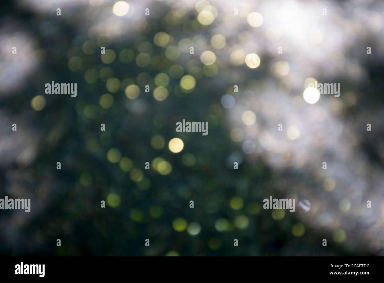 abstract, golden bokeh for backgrounds and compositions Stock Photo - Alamy