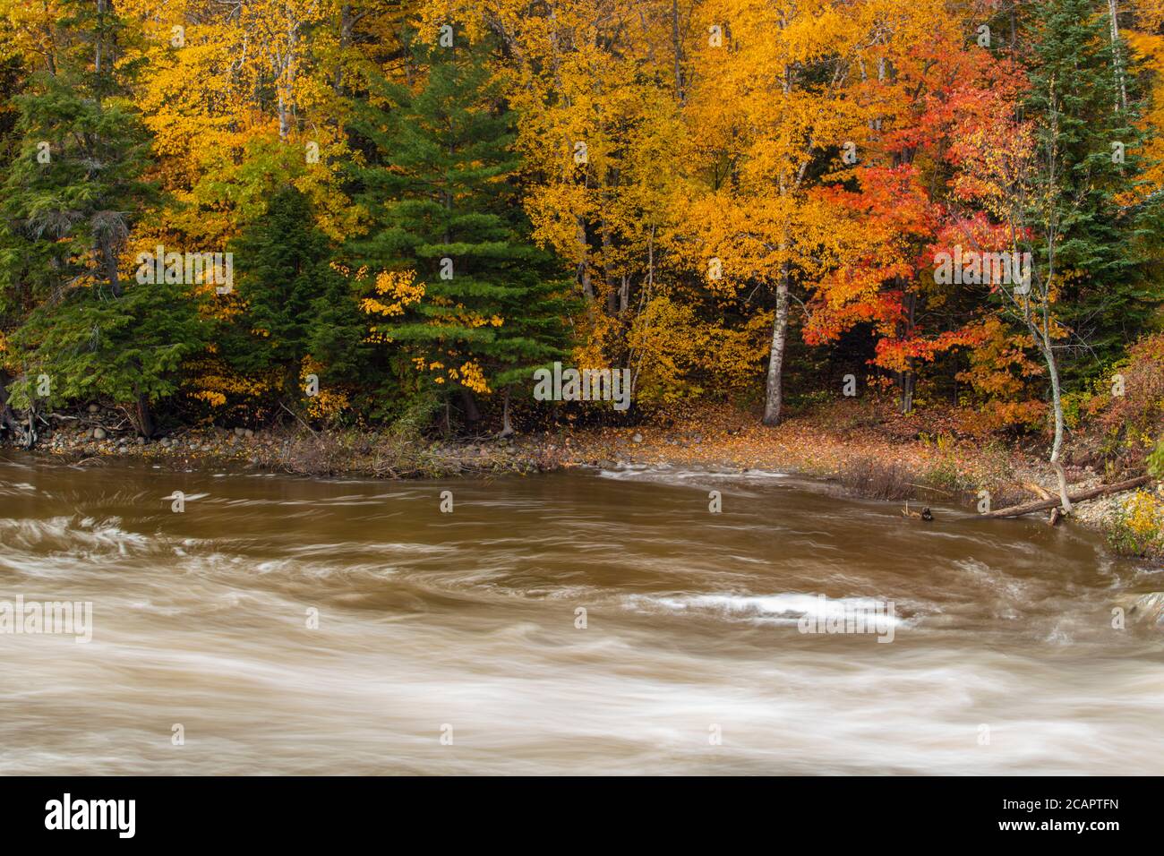 Chippewa River in autumn, Algoma District, Batchawana Bay, Ontario