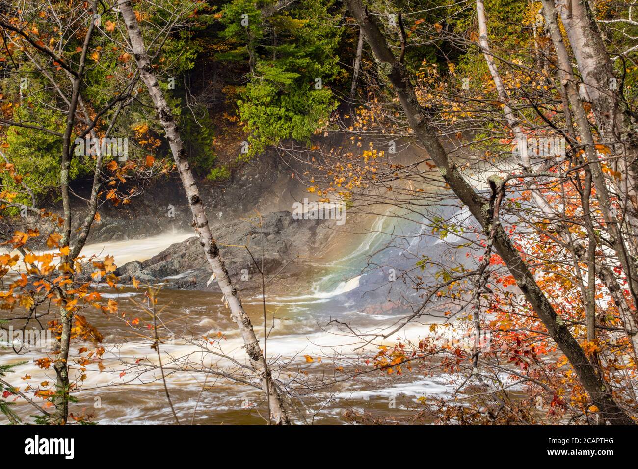 Chippewa River in autumn, Algoma District, Batchawana Bay, Ontario, Canada Stock Photo Alamy