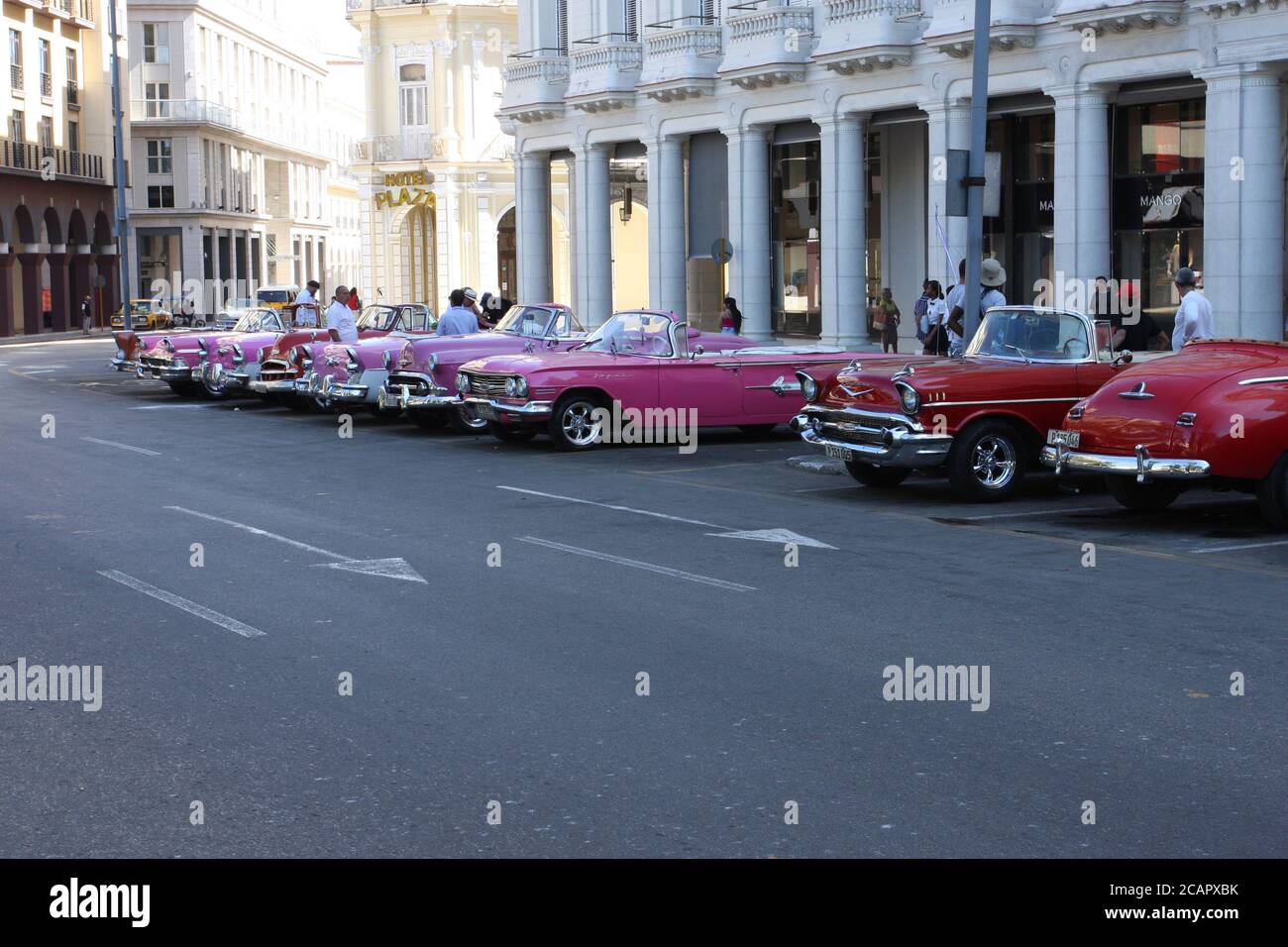 Vintage pink American cars parked with hoods down in Havana, Cuba Stock Photo