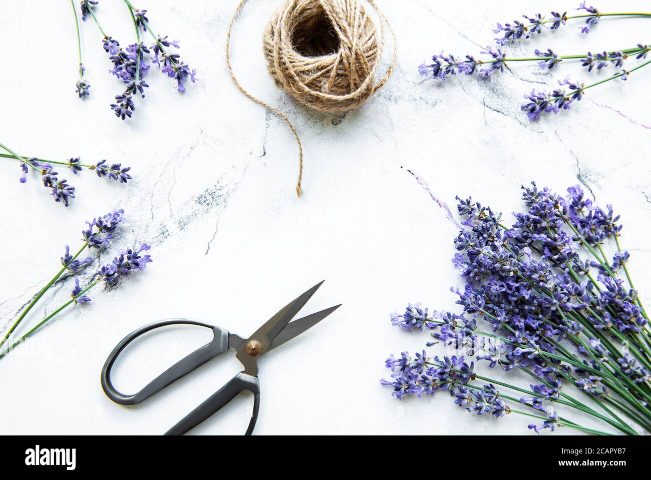 Lavender flowers, scissors and rope on a white marble background Stock ...