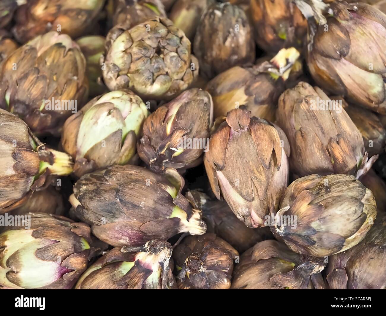 Macro agriculture hires stock photography and images Alamy