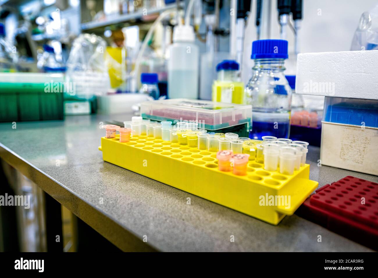 Eppendorf tubes in yellow test tube rack on a desk Stock Photo
