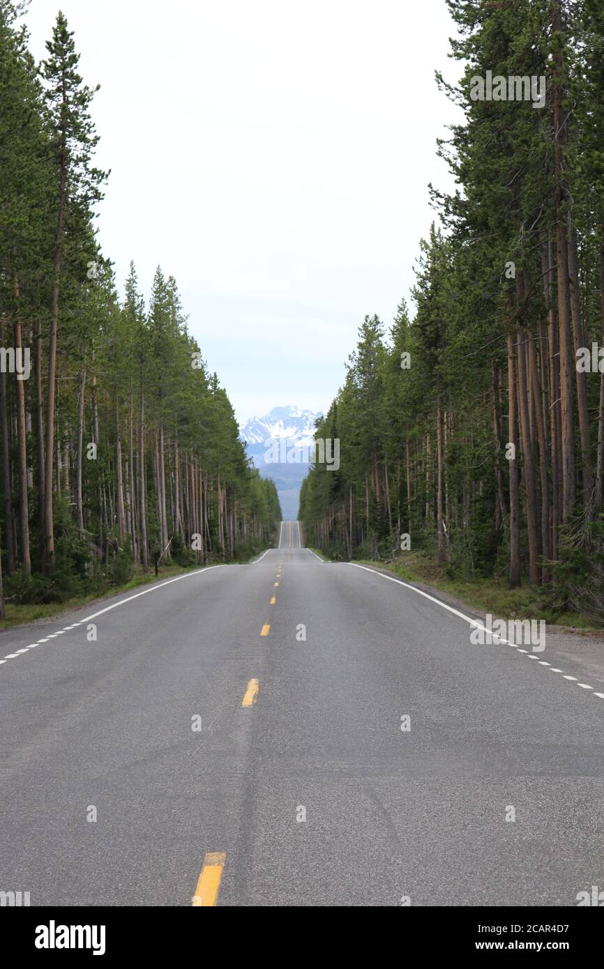 Lonely Road to Grand Tetons by Joe C Stock Photo