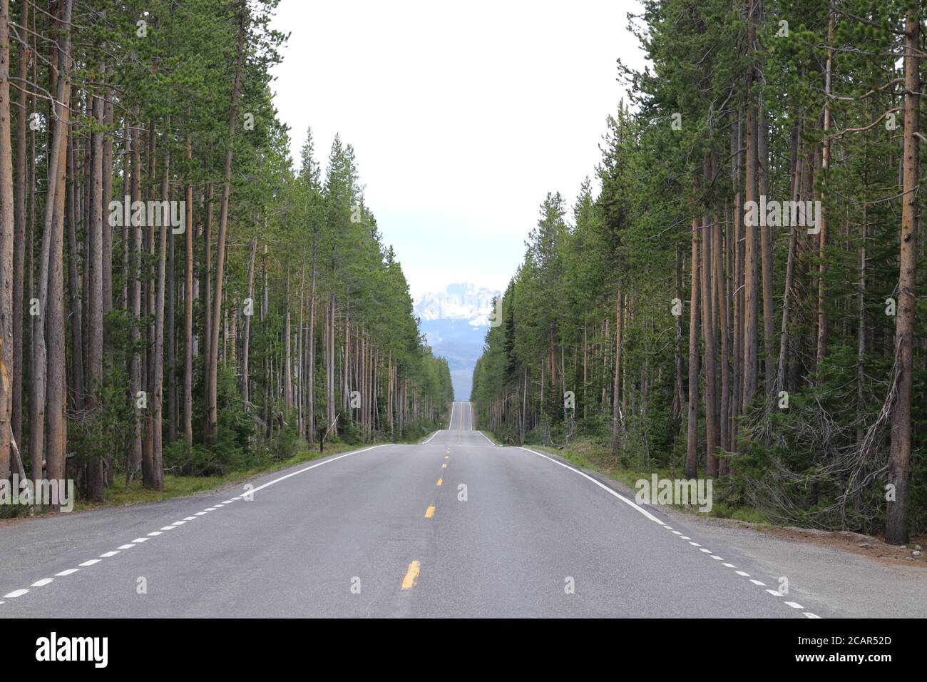 Lonely Road to Grand Tetons by Joe C Stock Photo