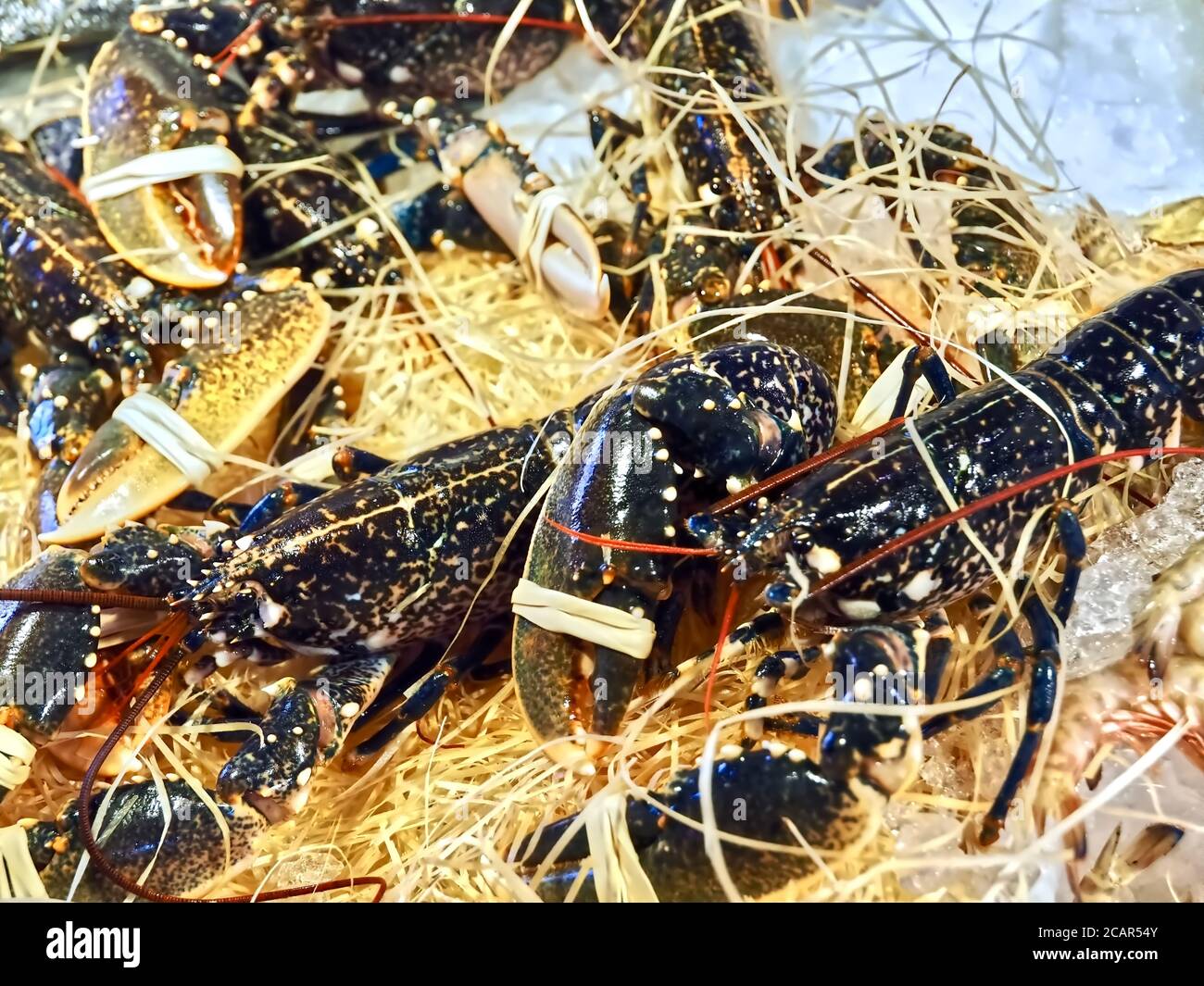 Living black lobster at a food market Stock Photo