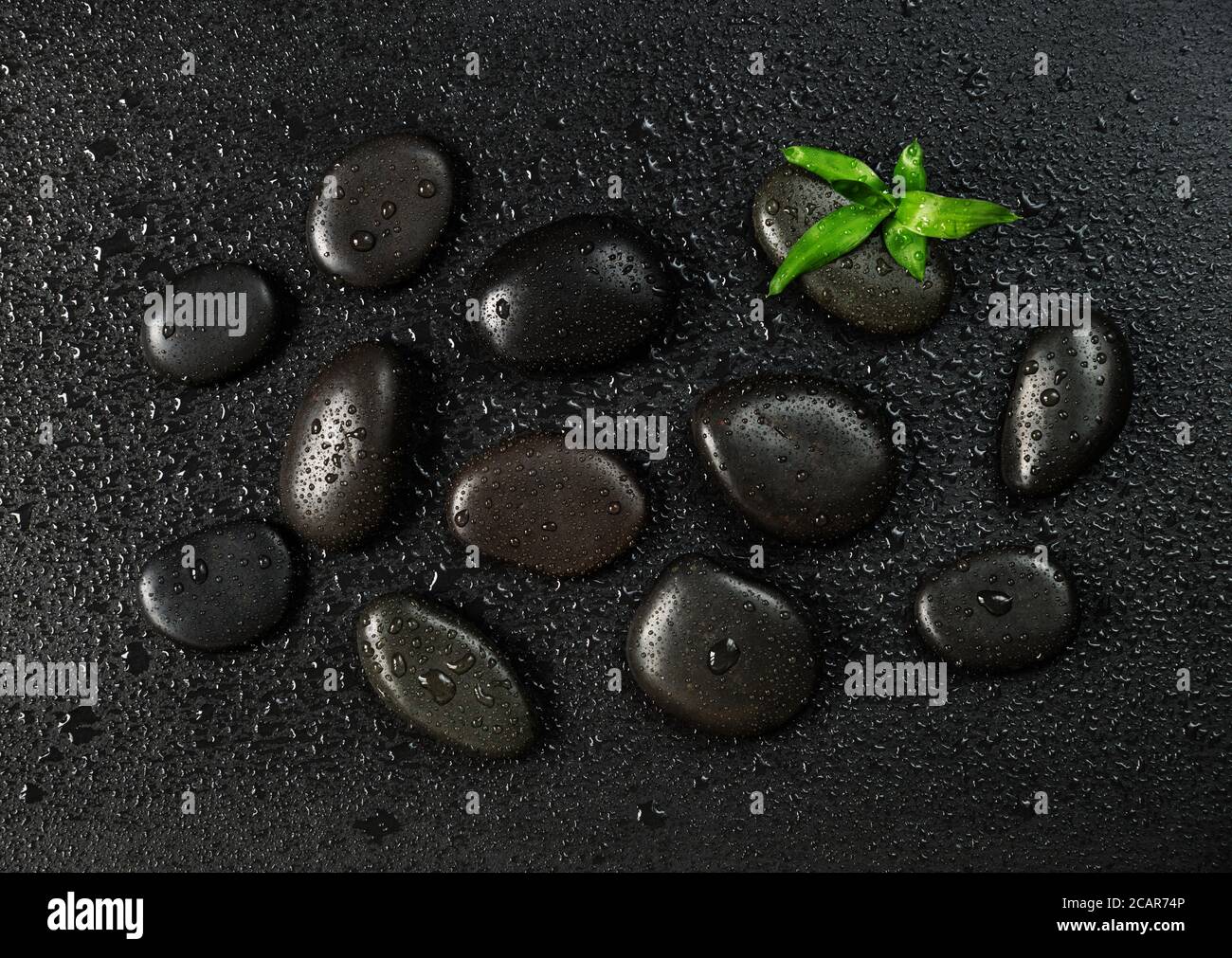 Several black basalt massage stones distributed on a black slate background and green bamboo sprout covered with water drops; top view, flat lay Stock Photo