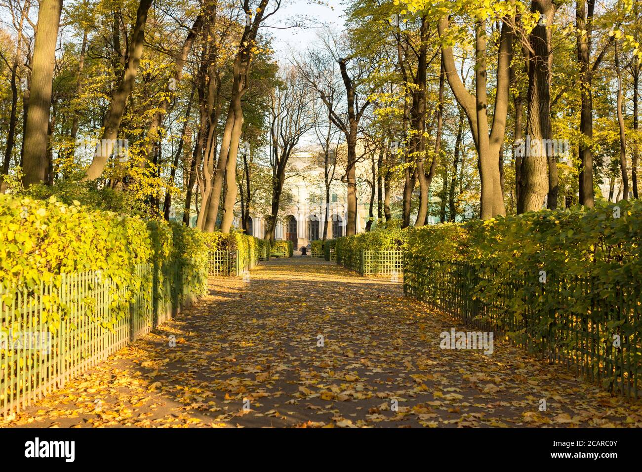 Alley Trees Path Leaves High Resolution Stock Photography and Images ...