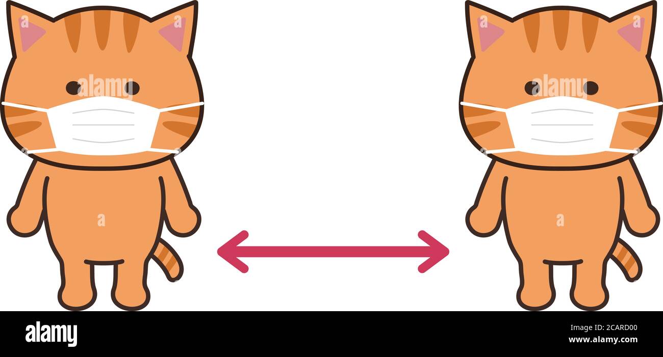 Cat Character Sheet Mask