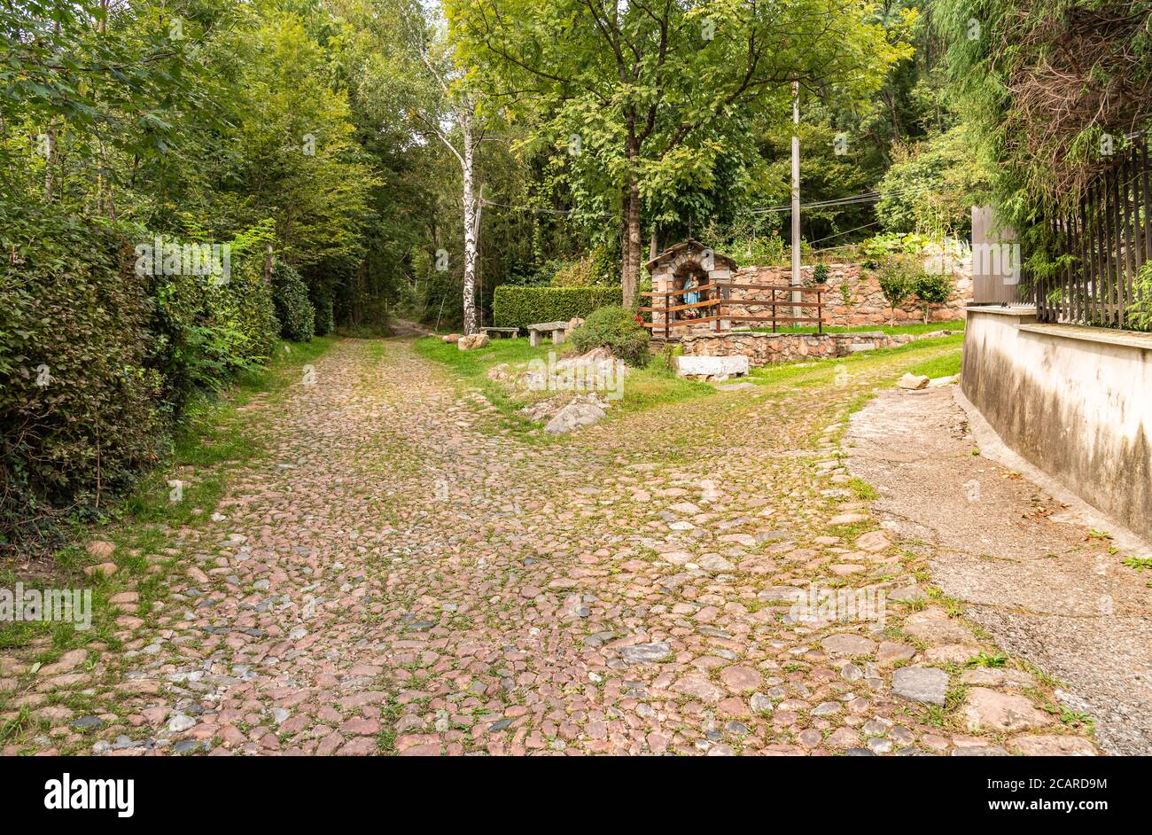 The Paths of the Regional Park of Brinzio, province of Varese, Lombardy, Italy Stock Photo