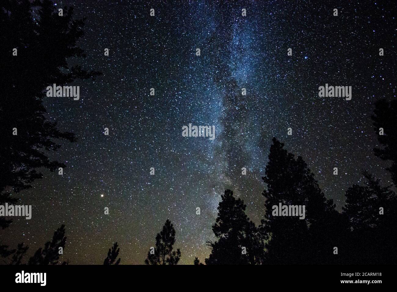 Infinite starry sky with milky way in a Washington state forest with Mars in the distance. Stock Photo