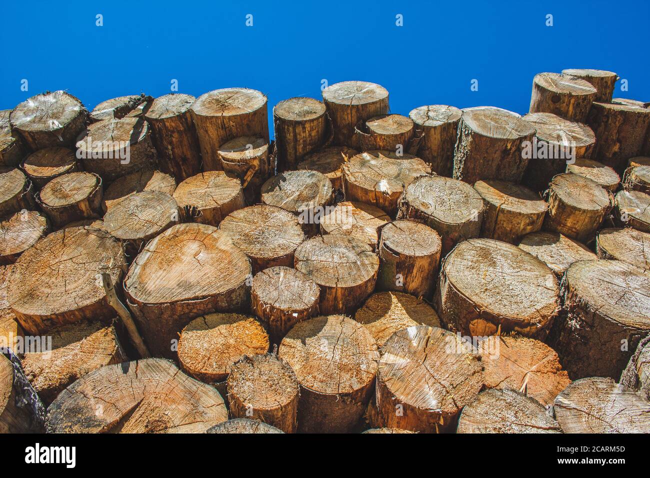 Pile of natural wood logs. Background of wooden texture Stock Photo