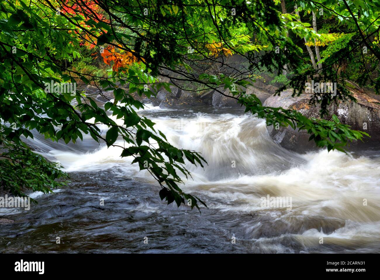 Stream with flowing water hi-res stock photography and images - Alamy