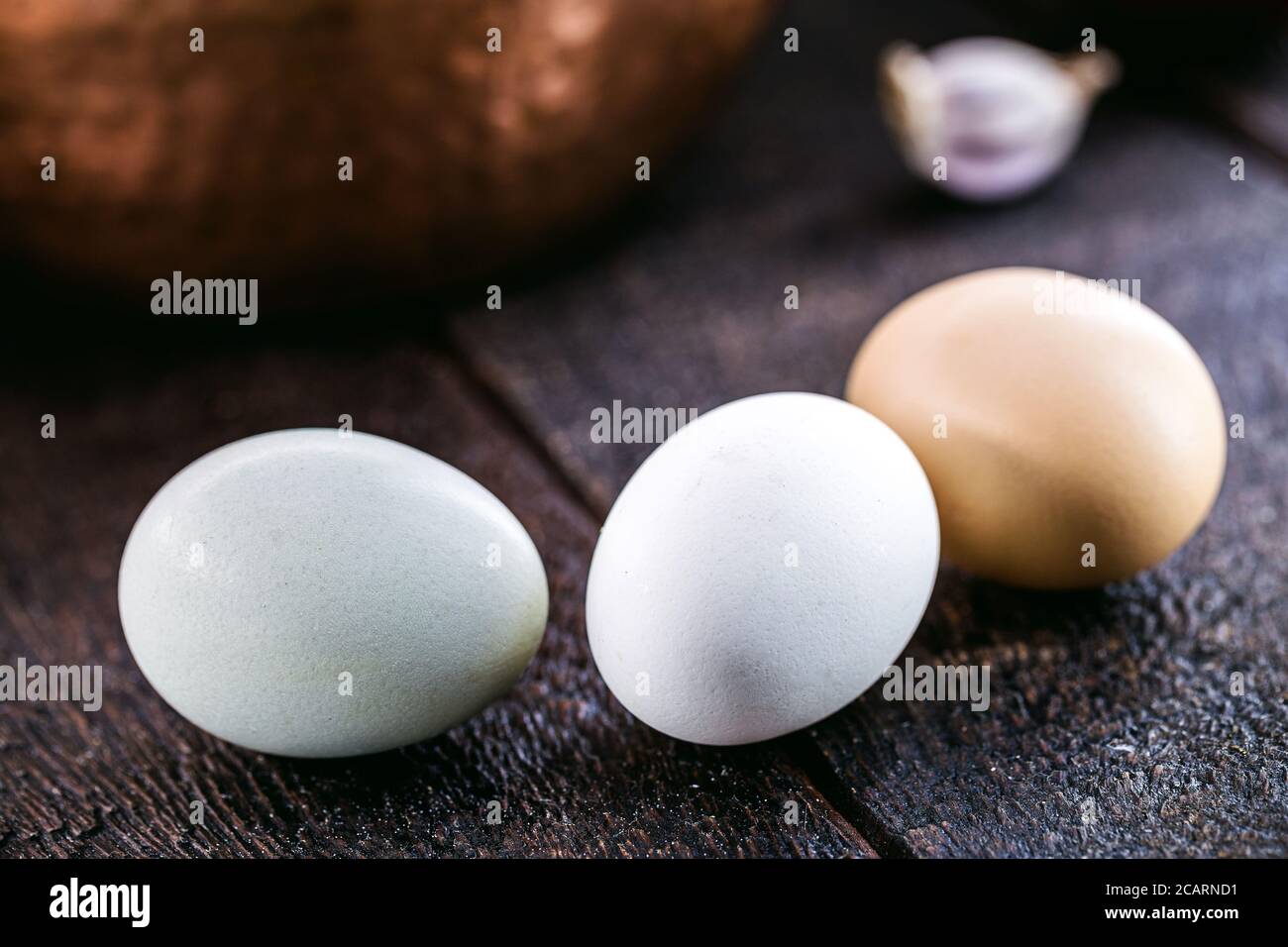 Brazilian free-range eggs, natural free-range eggs from Minas Gerais Stock Photo