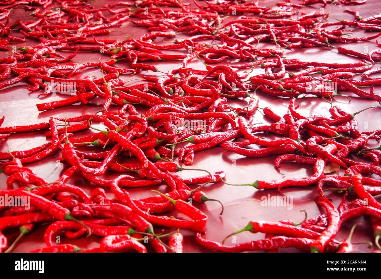 red spicy peppers or in chinese la jiao on a red floor in Sichuan Province  China Stock Photo - Alamy
