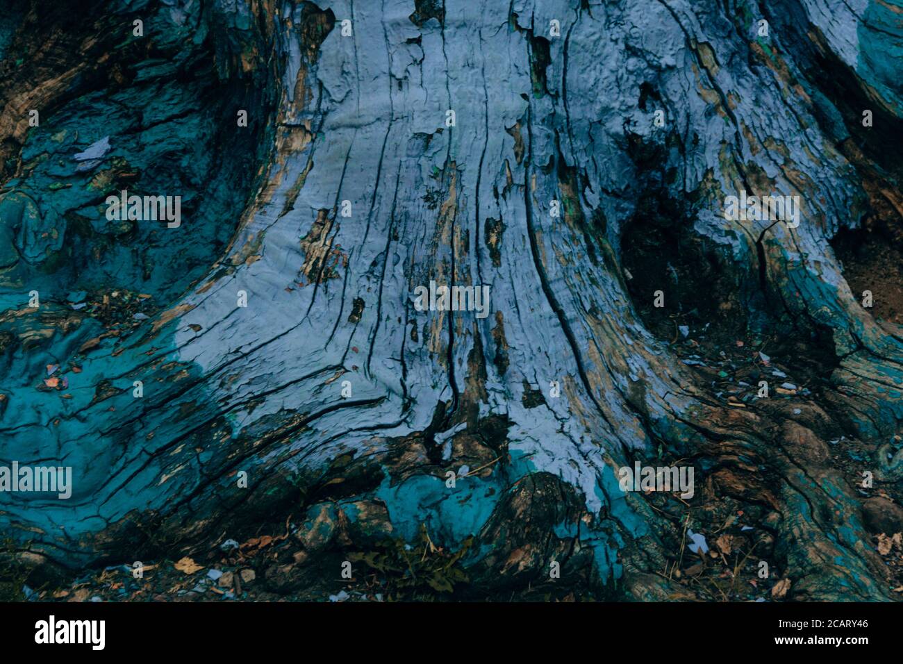 Old wood has been painted with paint, background Stock Photo