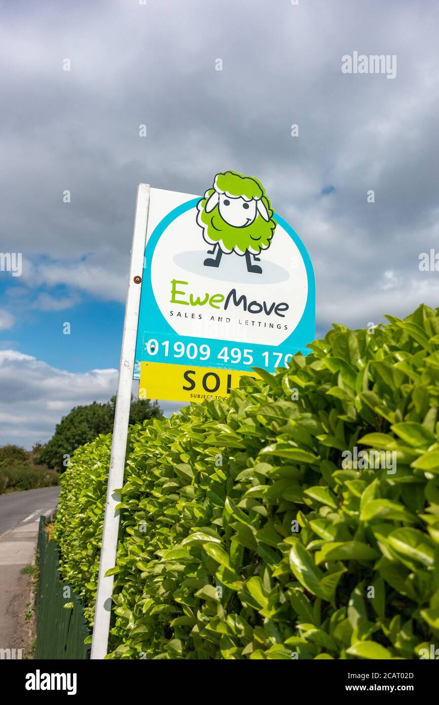 EweMove estate agent for sale sign Stock Photo Alamy
