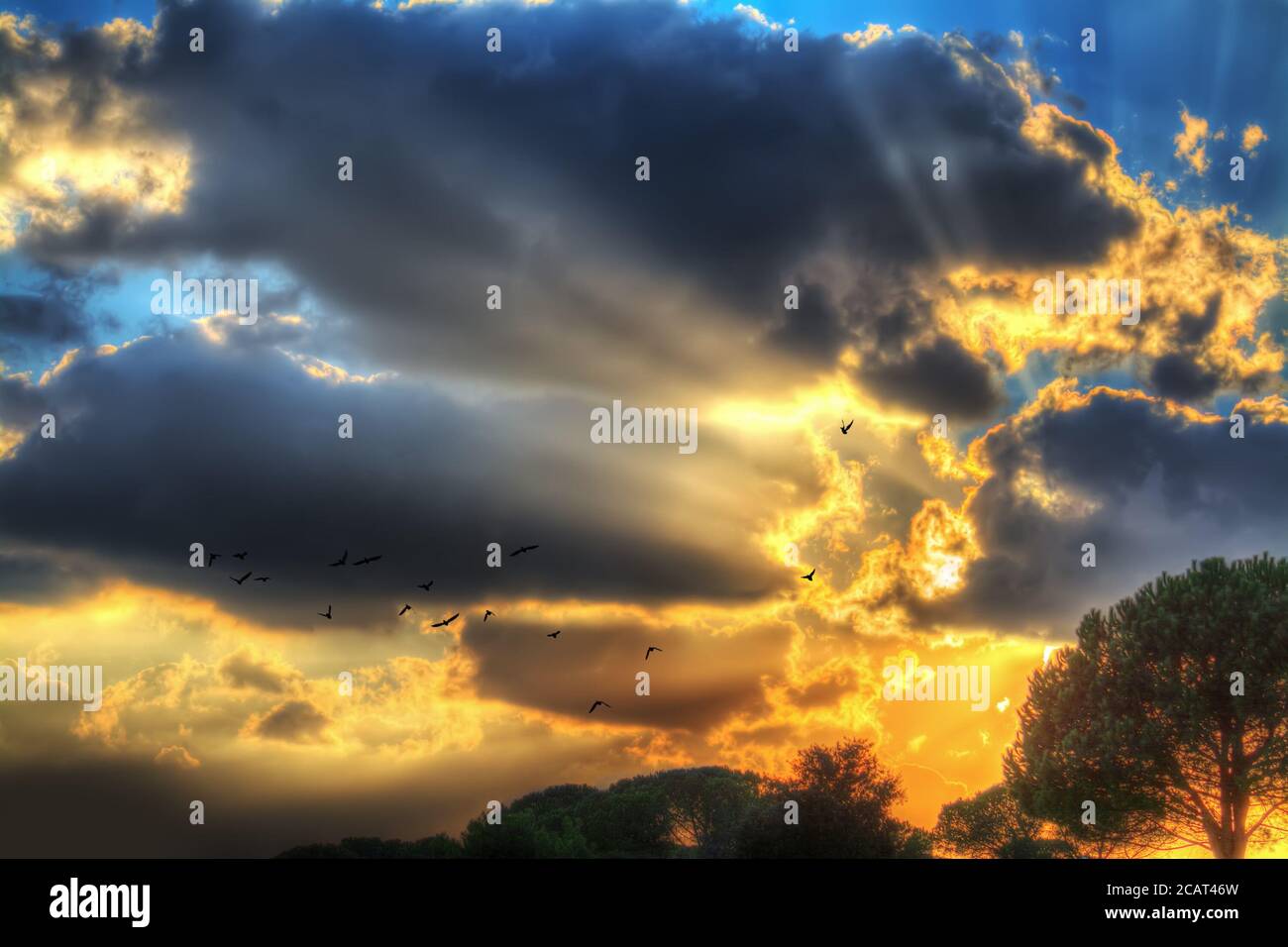 flock of birds flying in a colorful sky at sunset Stock Photo - Alamy