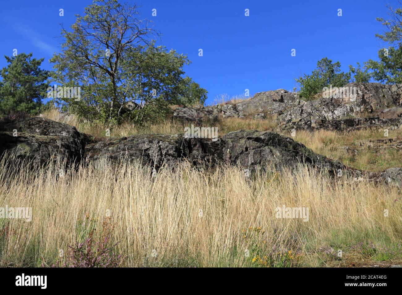 Rocky hillside hi-res stock photography and images - Alamy