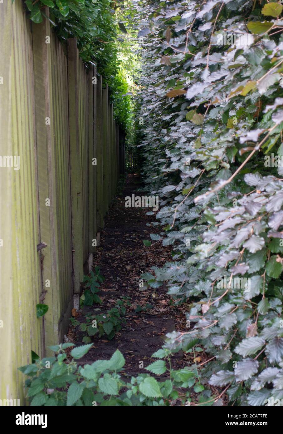 narrow dark alleyway between building and fencing Stock Photo Alamy