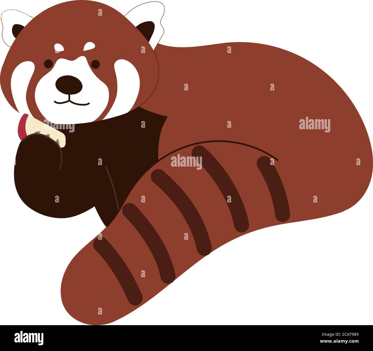 Cute cartoon Red Panda stock vector. Illustration of mammal - 230664380