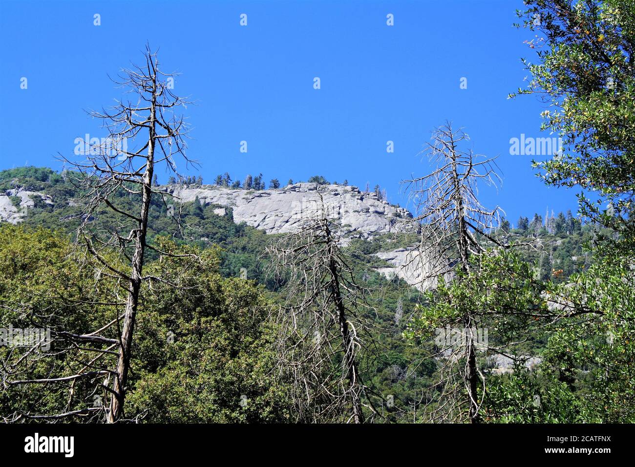 Scenic Overlook, Sequoia National Park, Sierra Nevada Mountain Range Stock Photo
