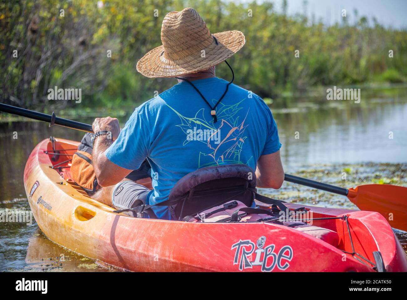 Kayaker exploring the Guana River coastal marsh in Ponte Vedra Beach, Florida. (USA) Stock Photo