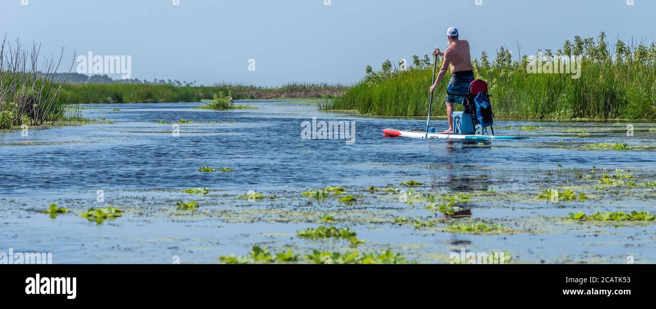 Paddleboarder navigating the Guana River coastal marsh in Ponte Vedra Beach, Florida. (USA) Stock Photo