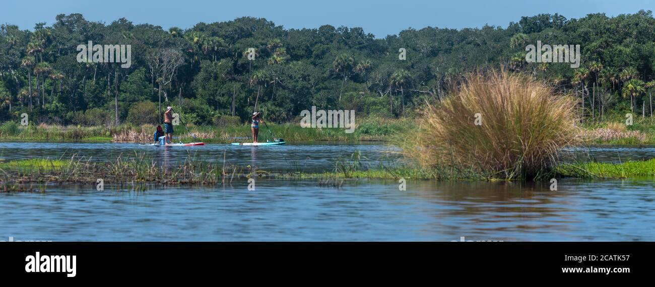 Paddleboarders enjoying a morning on the Guana River in Ponte Vedra Beach, Florida. (USA) Stock Photo