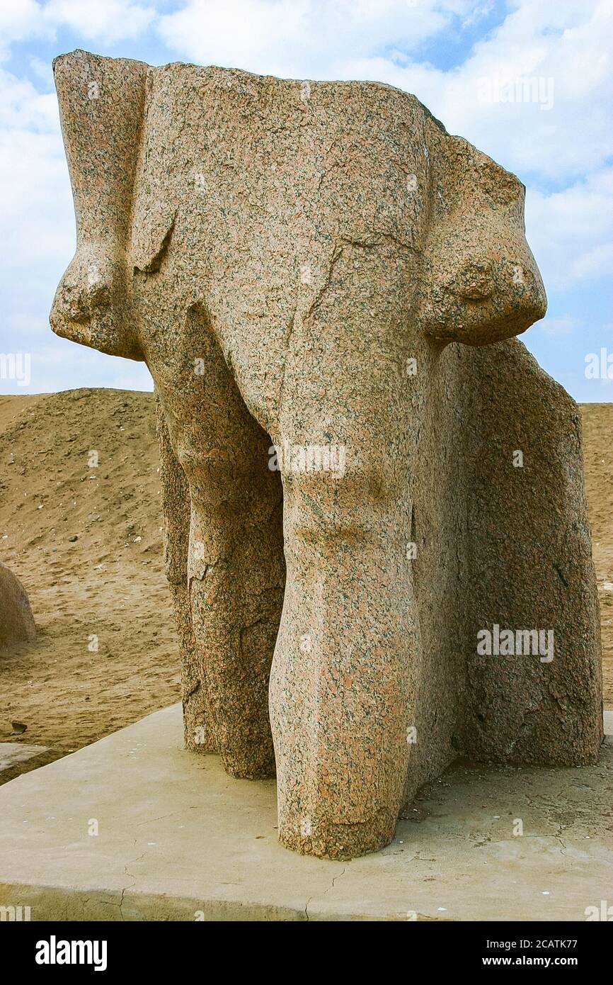 Egypt, Nile Delta, Tanis, relief on the modern processional way to the temple : Lower part of a statue, striding king. Stock Photo