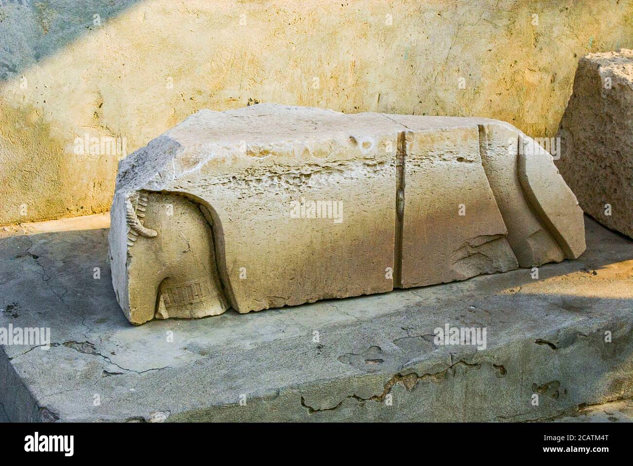 Egypt, Nile Delta, Tanis, artifacts displayed near the mission house : Sunk relief. Stock Photo