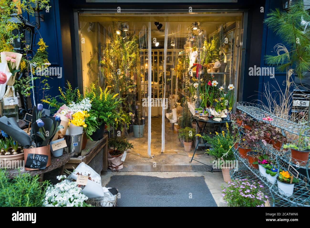 Seoul,South KoreaMarch 2020 Flower shop entrance with blue wall at