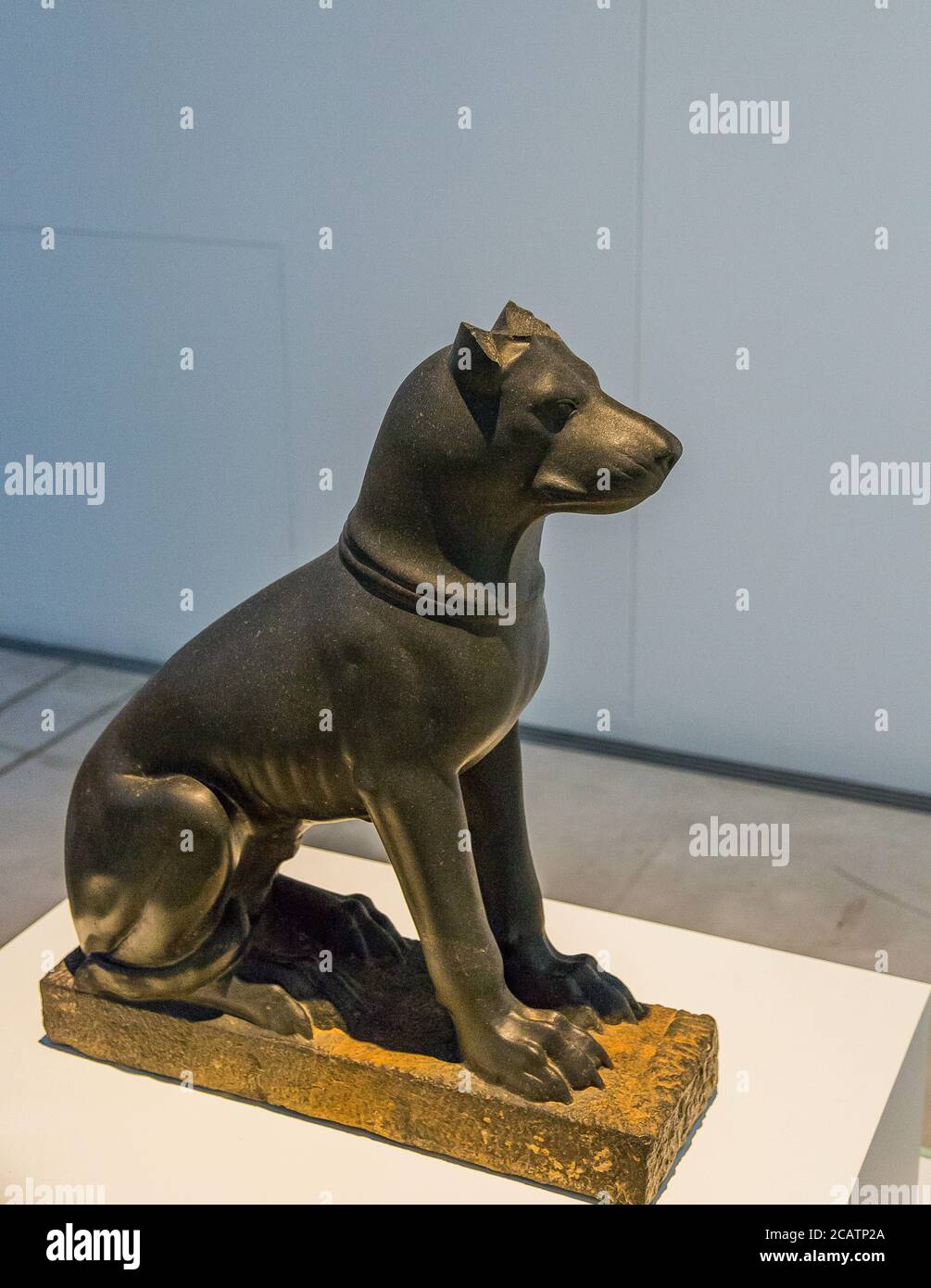 Exhibition 'The animal kingdom in Ancient Egypt', organized in 2015 by the Louvre Museum in Lens. Dog statue of an unusual style. Stock Photo